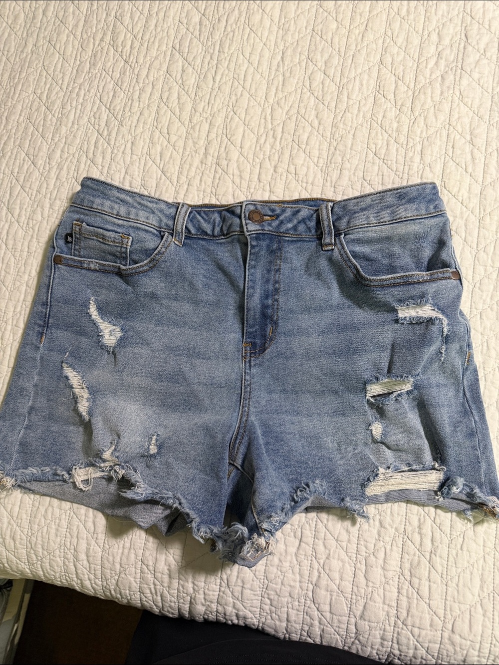 Judy Blue Light Wash Distressed Denim Cutoff Shorts